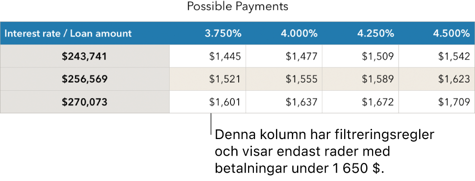 En lånetabell efter att den har filtrerats efter ekonomiskt hanterbara räntor.