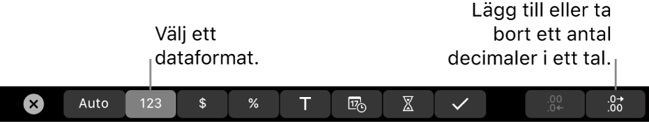 Touch Bar på MacBook Pro med reglage för att välja ett dataformat och för att lägga till eller ta bort decimaler från ett tal.
