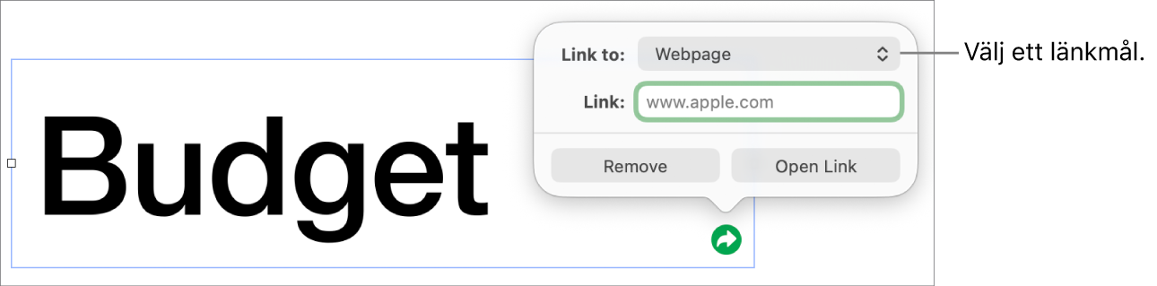 Länkredigerarreglage med Webbsida markerat och knapparna Ta bort och Öppna länk längst ned.