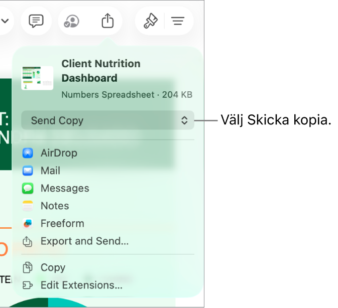 Delningsmenyn med Skicka kopia markerat högst upp.