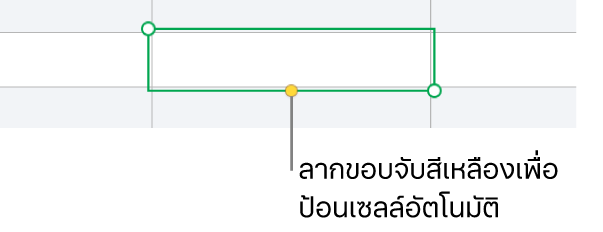เซลล์ที่เลือกที่มีขอบจับสีเหลือง ซึ่งคุณสามารถลากเพื่อป้อนเซลล์อัตโนมัติได้