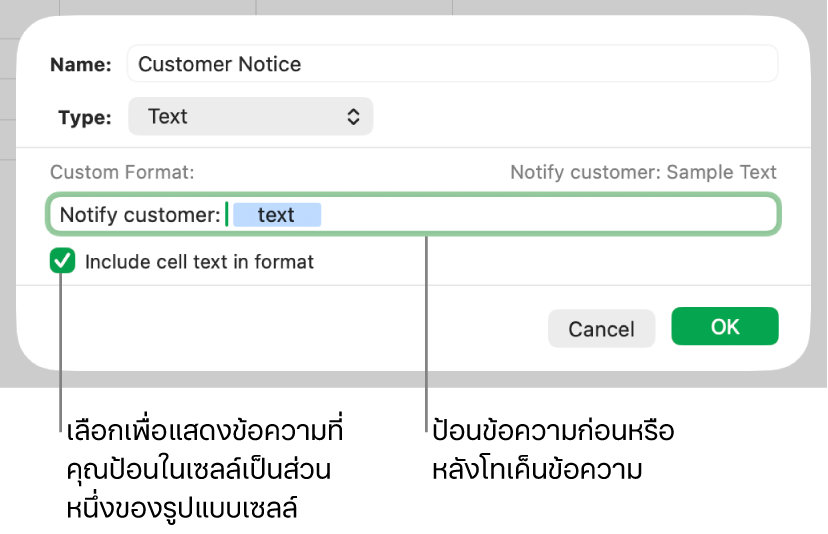 รูปแบบเซลล์ข้อความแบบกำหนดเอง