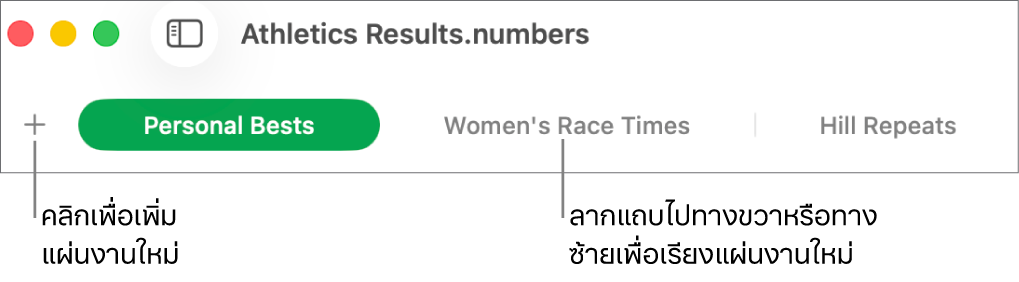รายการแถบสำหรับเพิ่มแผ่นงานใหม่และการจัดระเบียบแผ่นงานใหม่