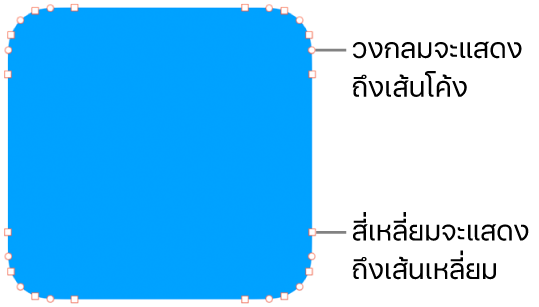 รูปร่างที่มีจุดที่แก้ไขได้