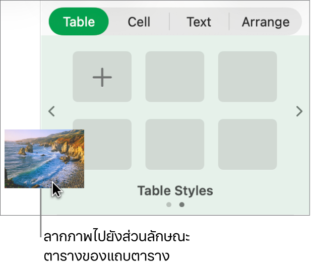 ลากภาพลงในลักษณะตารางเพื่อสร้างลักษณะใหม่