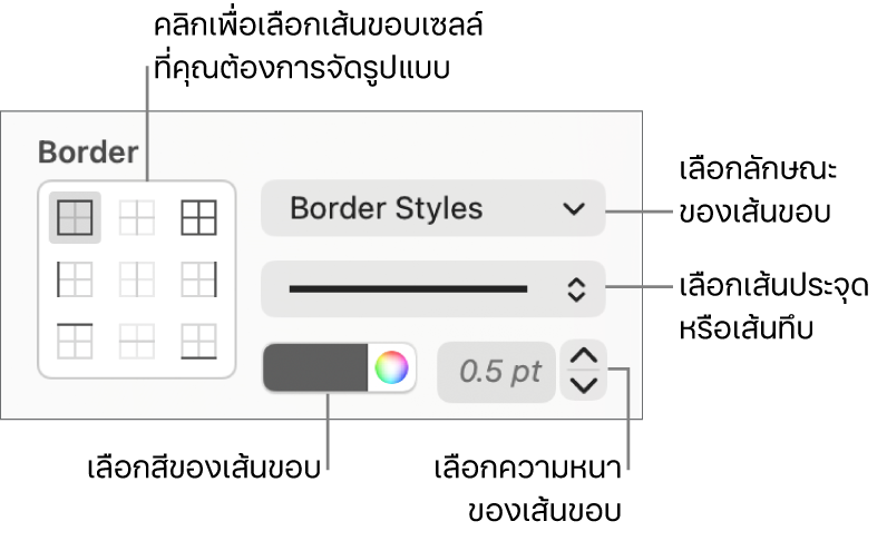 ตัวควบคุมการจัดลักษณะของเซลล์