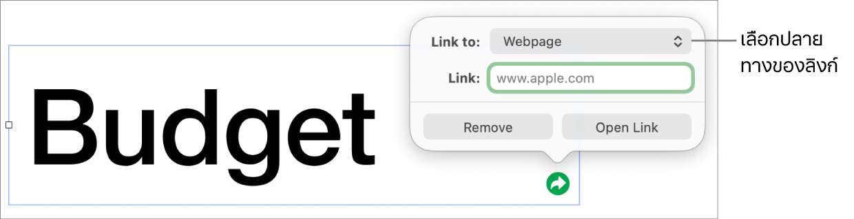 ตัวควบคุมหน้าต่างแก้ไขลิงก์ที่มีหน้าเว็บถูกเลือกอยู่ และปุ่มเอาออกและเปิดลิงก์ที่ด้านล่างสุด