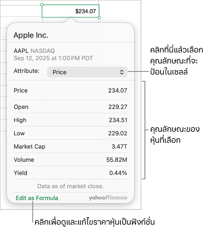 หน้าต่างโต้ตอบสำหรับป้อนข้อมูลคุณลักษณะหุ้น โดยมี Apple เป็นหุ้นที่เลือก