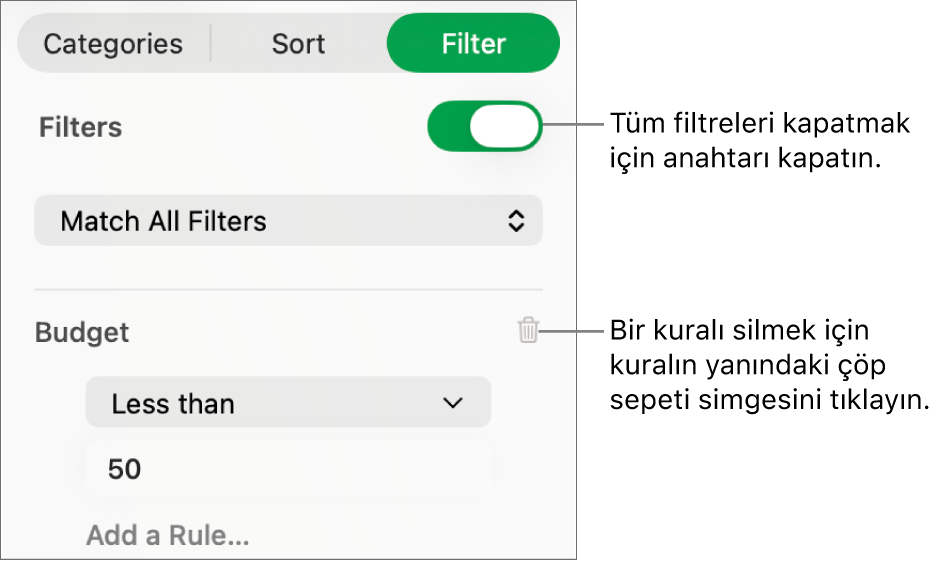 Filtreyi silme veya tüm filtreleri kapatma denetimleri.