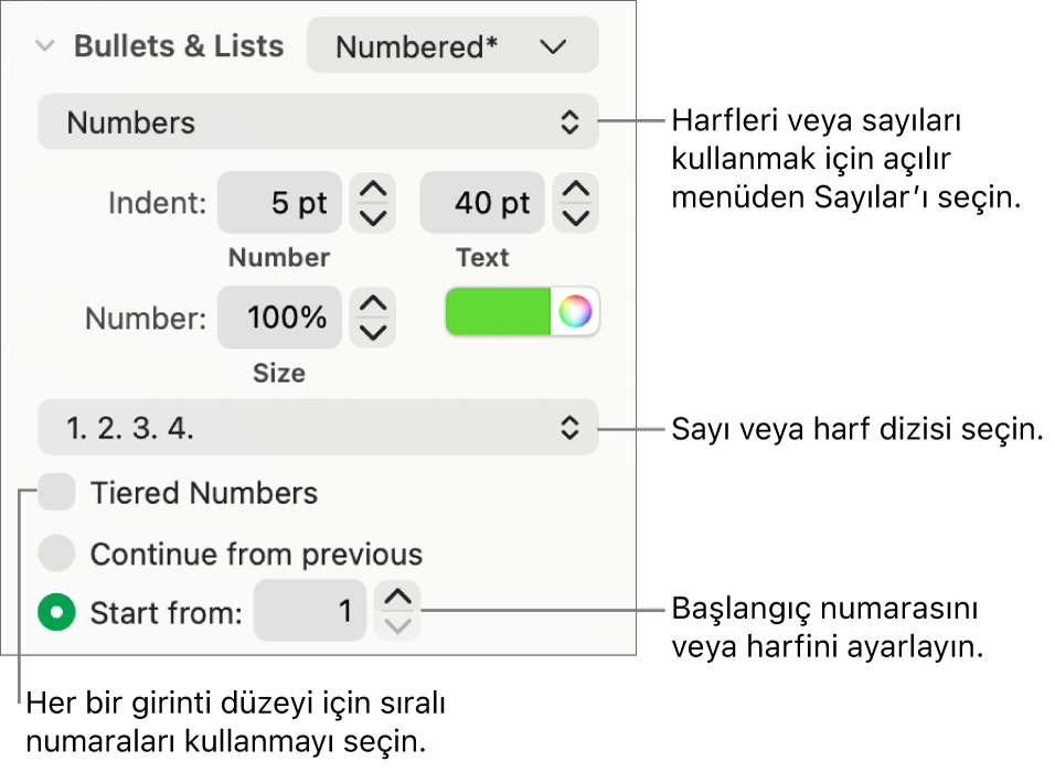 Numara stilini ve bir lise boşluğunu değiştirme denetimleri.