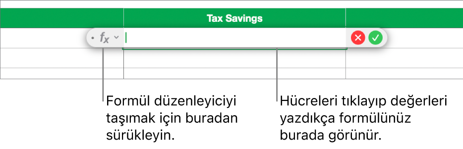 Formül Düzenleyici.