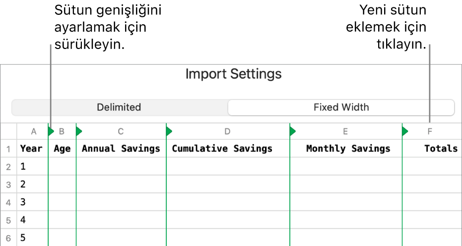 Sabit genişlikli metin dosyası için içe aktarma ayarları.
