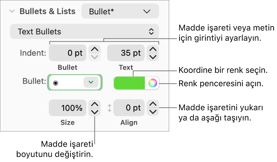 Madde işareti ve metin girintisi, madde işareti rengi, madde işareti büyüklüğü ve hizalaması için denetim belirtimlerini içeren İşaretler ve Listeler bölümü.
