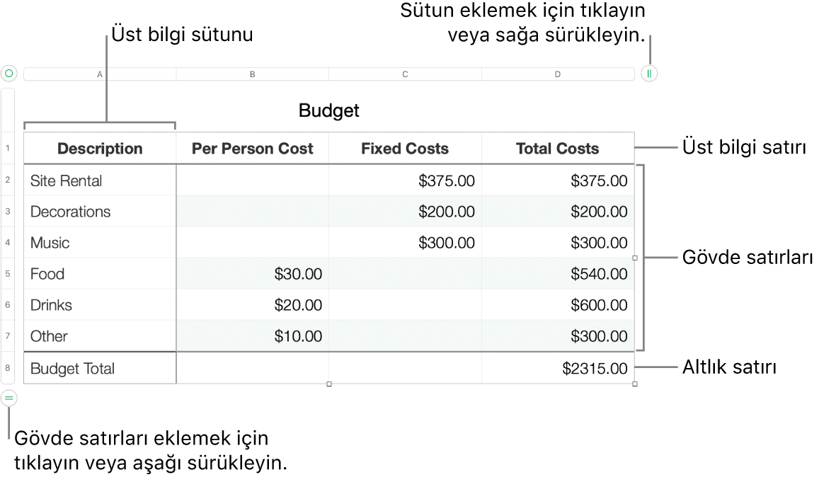 Üst bilgi, gövde ve dipnot satırlarını ve sütunlarını ve satır veya sütun eklemek ya da silmek için tutamakları gösteren bir tablo.