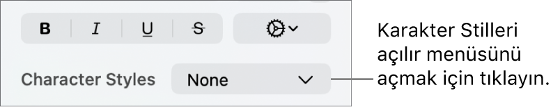 Karakter Stilleri açılır menüsü.