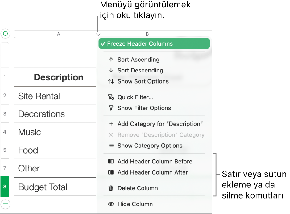 Satırları ve sütunları ekleme veya silme komutlarını içeren tablo sütunu menüsü.