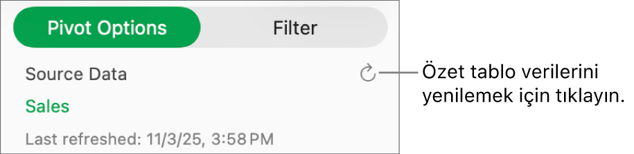 Özet tabloyu yenileme seçeneğini gösteren Özet Seçenekleri sekmesi.