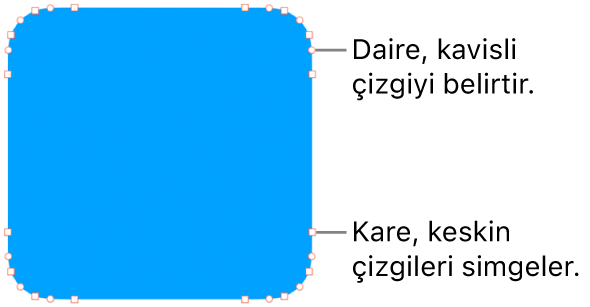 Düzenlenebilir noktalı şekil.