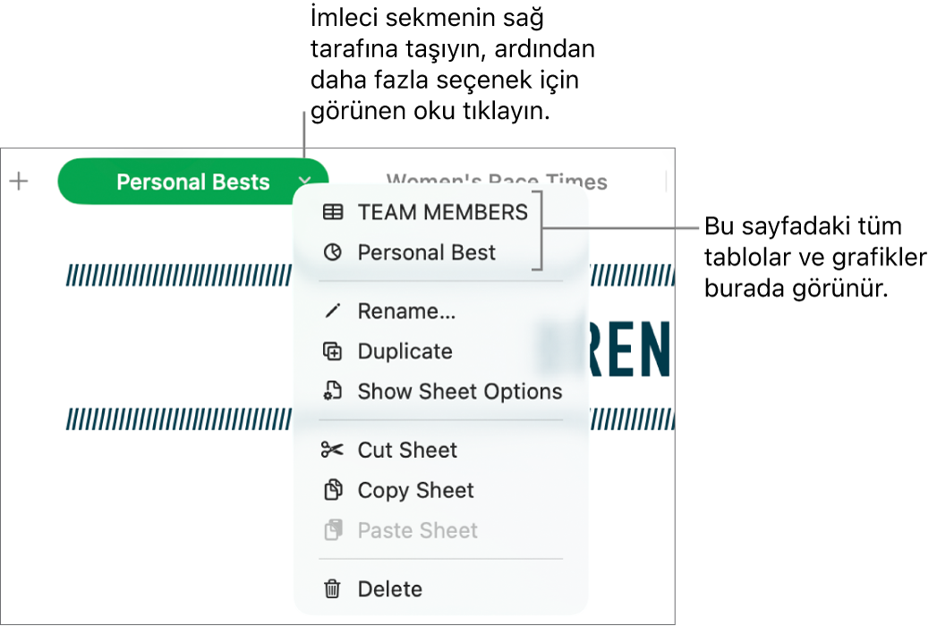 Çoğalt seçeneği dahil seçenekleri gösteren kestirme menüsü açık bir hesap tablosu sekmesi.