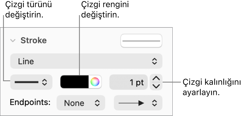 Uç noktaları, çizgi kalınlığını ve rengi ayarlamak için çizgi denetimleri.