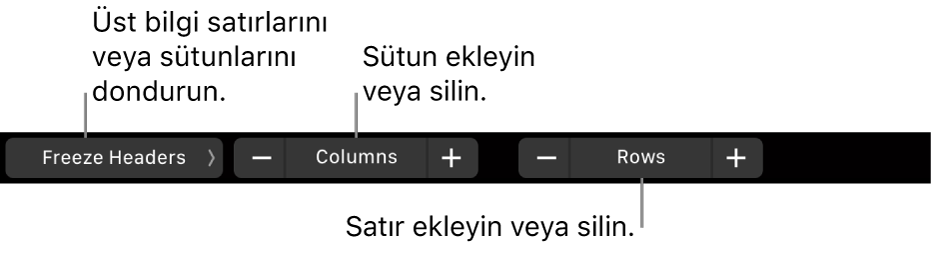 Üst bilgi satırlarını veya sütunlarını dondurma, sütun ekleme veya silme, satır ekleme veya silme denetimleri ile MacBook Pro Touch Bar.