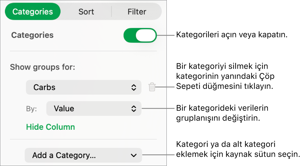 Kategorileri kapatma, kategorileri silme, verileri yeniden gruplama, kaynak sütunu gizleme ve kategori ekleme seçeneklerini içeren kategoriler kenar çubuğu.