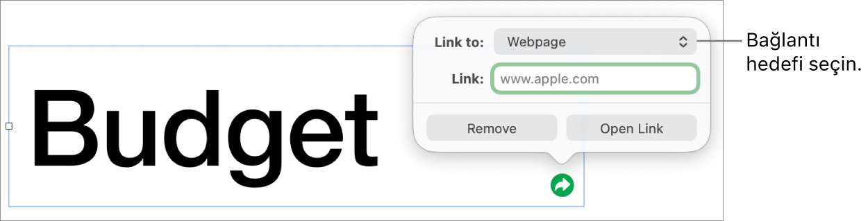 Bağlantı düzenleyici denetimlerinde Web Sayfası seçili, en altta ise Bağlantıyı Sil ve Aç düğmeleri bulunuyor.