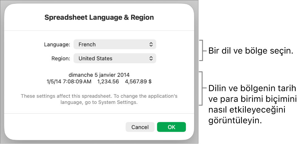 Dil ve bölge denetimleri ve tarih, saat, ondalık ve para birimi de dahil olmak üzere bir biçim örneği ile Dil ve Bölge bölümü.