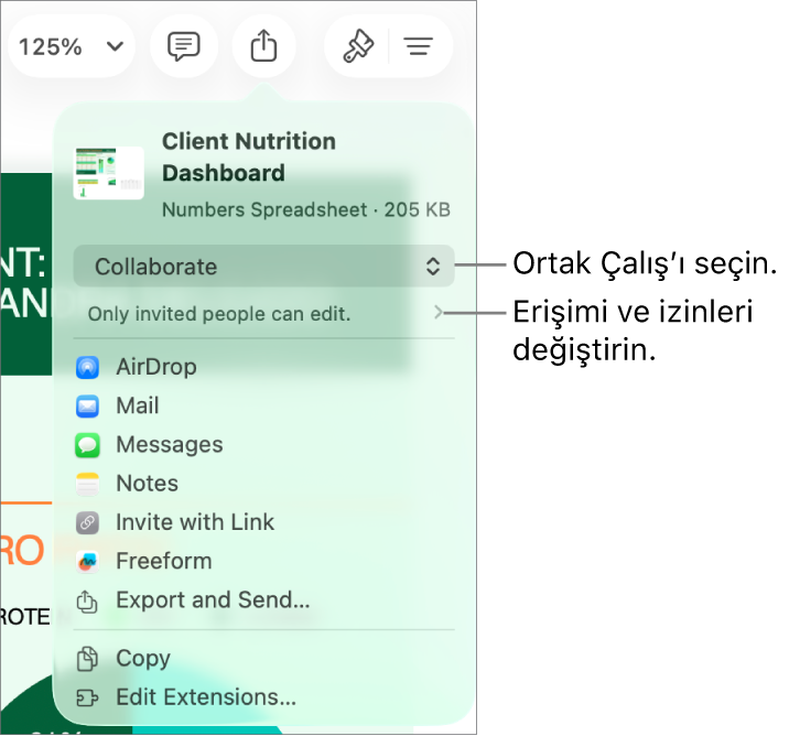 En üstte Ortak Çalış seçili olan Paylaş menüsü ve altında erişim ve izin ayarları.