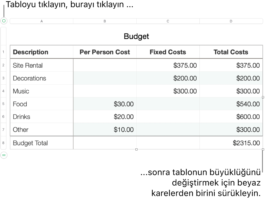 Yeniden boyutlandırma için beyaz kareleri bulunan seçili bir tablo.