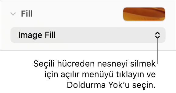 Seçilen bir hücreden nesne silmek için kullanılacak denetim.