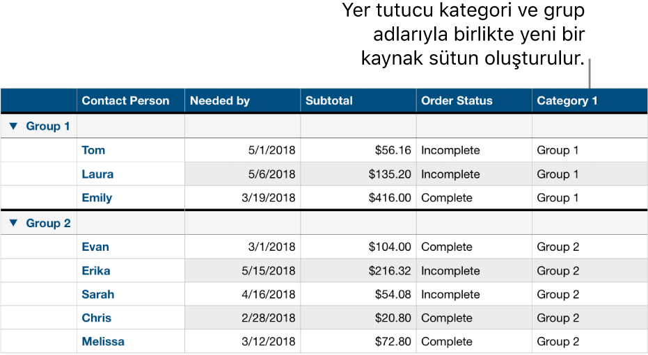 Kategori ve gruplar için yer tutucu adların kullanıldığı, kategoriye ayrılmış bir tablo.