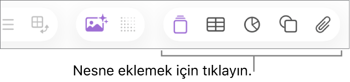 Araç çubuğundaki nesne düğmelerinin belirtimlerini içeren Numbers penceresi.