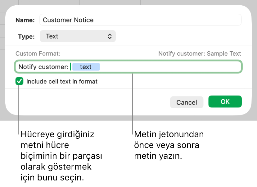 Özel metin hücresi biçimi.