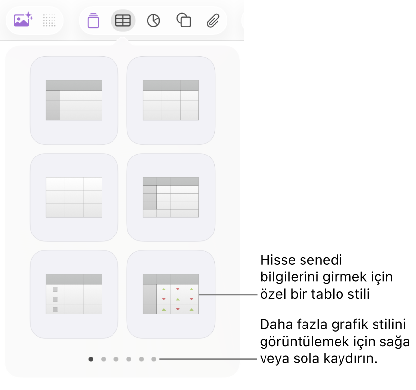 Sağ alt köşede hisse senedi bilgilerini girmek için kullanılabilecek özel bir stille tablo stillerinin küçük resimlerini gösteren tablo menüsü. En alttaki altı nokta daha fazla stil görmek için kaydırabileceğinizi belirtir.