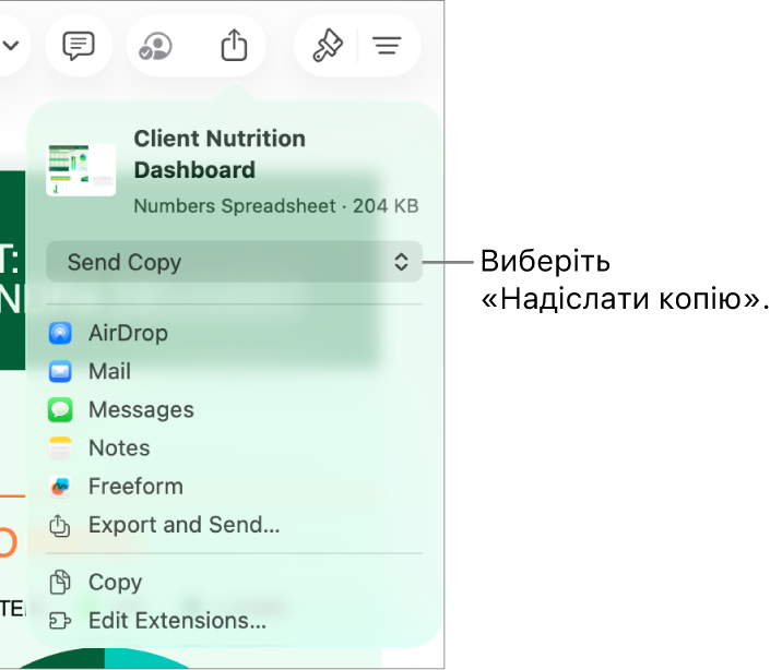 Меню «Поширення», у якому вгорі вибрано елемент «Поширити копію».
