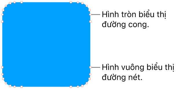 Hình có các điểm có thể sửa.