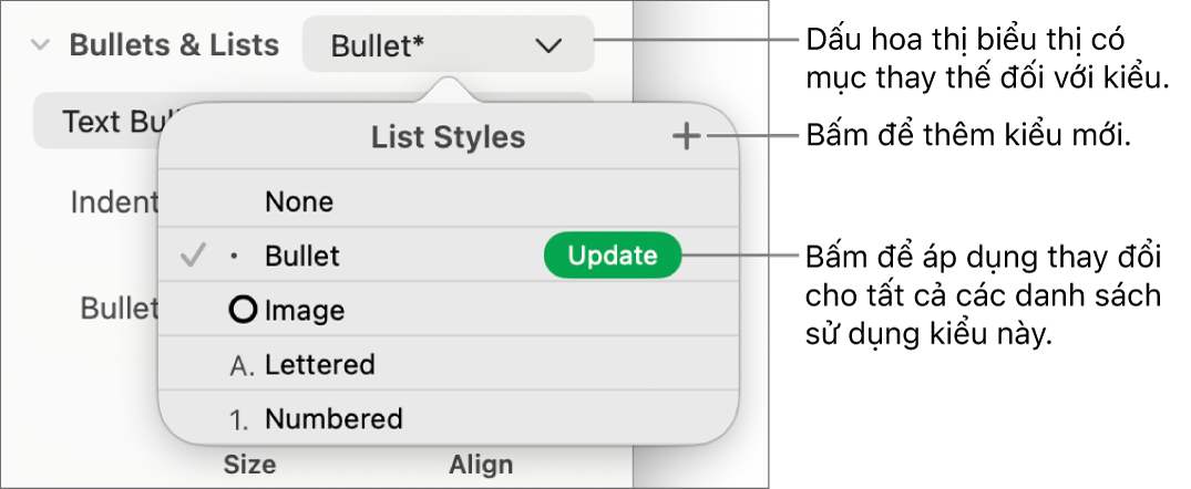Menu bật lên Kiểu danh sách với dấu hoa thị biểu thị giá trị thay thế, chú thích đến nút Kiểu mới và menu con chứa các tùy chọn quản lý kiểu.