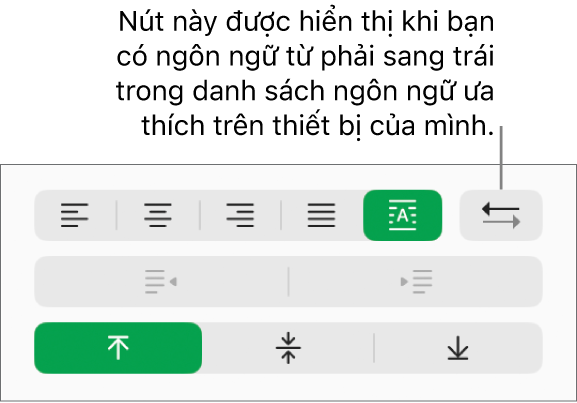 Nút Hướng đoạn trong phần Căn chỉnh của thanh bên Định dạng.