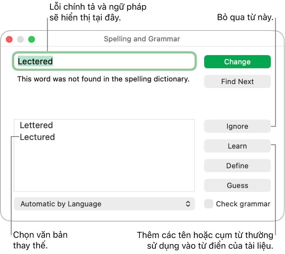 Cửa sổ Chính tả và ngữ pháp.