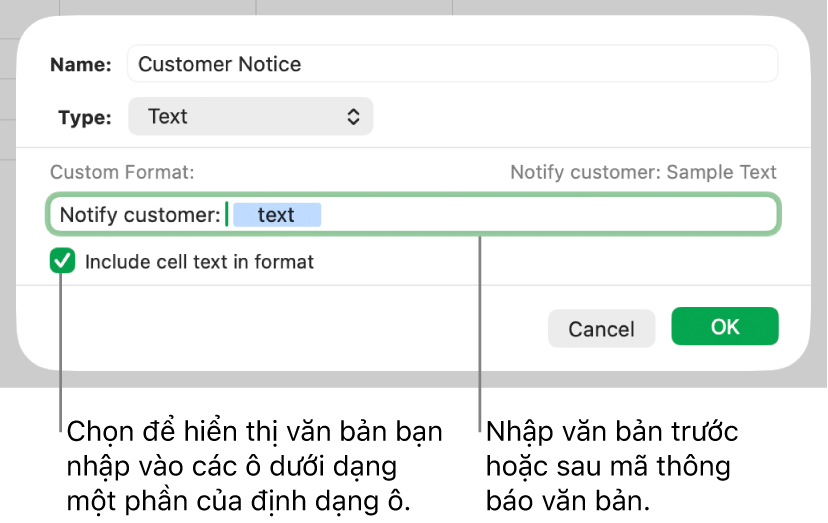 Định dạng ô văn bản tùy chỉnh.