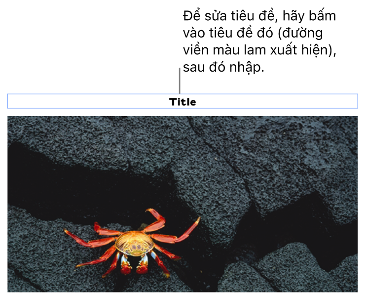 Chú thích giữ chỗ, “Tiêu đề”, xuất hiện bên dưới ảnh; đường viền màu lam xuất hiện xung quanh trường tiêu đề để cho biết tiêu đề đó đã được chọn.