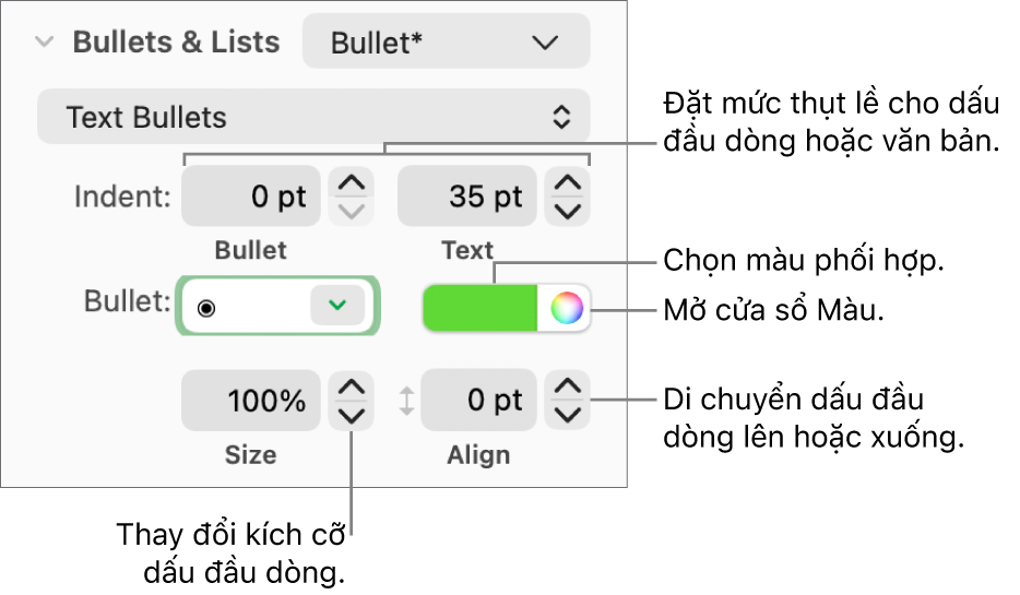 Phần Dấu đầu dòng & Danh sách với các lời nhắc đến các điều khiển cho thụt lề dấu đầu dòng và văn bản, màu dấu đầu dòng, kích cỡ dấu đầu dòng và căn chỉnh.