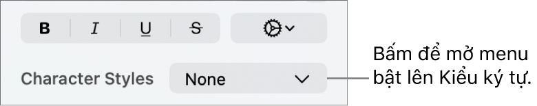 Menu bật lên Kiểu ký tự.
