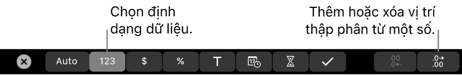 Touch Bar trên MacBook Pro với các điều khiển để chọn định dạng dữ liệu và thêm hoặc xóa vị trí thập phân khỏi một số.