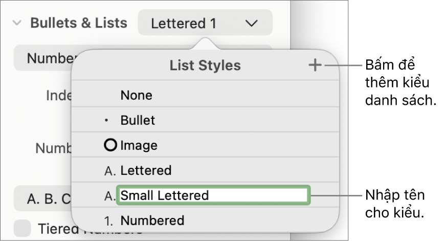 Menu bật lên Kiểu danh sách có nút Thêm ở góc trên cùng bên phải và tên kiểu giữ chỗ với văn bản được chọn.
