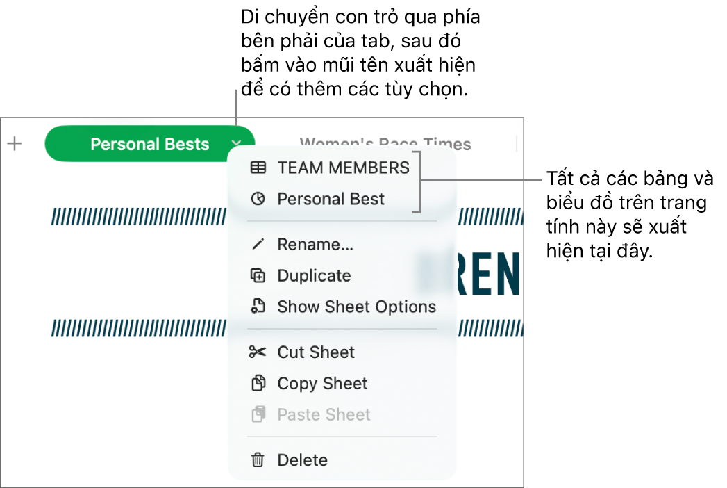 Tab bảng tính có menu phím tắt mở, hiển thị các tùy chọn bao gồm Nhân bản.