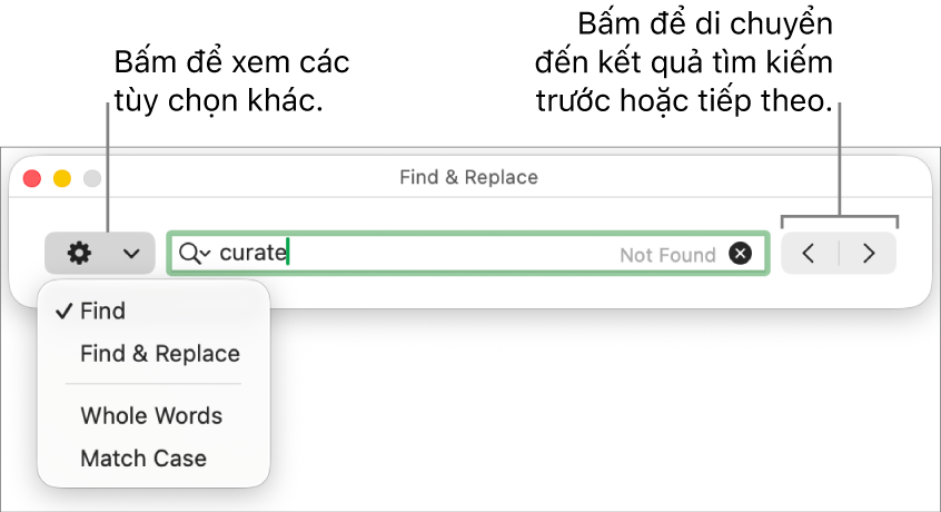 Cửa sổ Tìm & Thay thế với menu bật lên hiển thị các tùy chọn cho Tìm, Tìm & Thay thế, Cả từ và Khớp viết hoa. Các mũi tên ở bên phải cho phép bạn chuyển đến kết quả tìm kiếm trước đó hoặc tiếp theo.