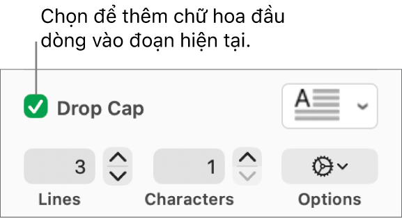 Hộp kiểm Chữ hoa đầu dòng được chọn và menu bật lên xuất hiện ở bên phải; các điều khiển để đặt chiều cao đường, số lượng ký tự và các tùy chọn khác xuất hiện bên dưới.