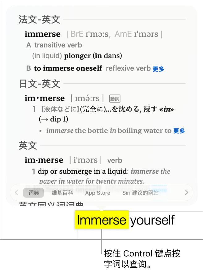 带高亮标记字词的文本，同时窗口显示其定义和辞典条目。窗口底部的三个按钮提供前往词典、维基百科和 Siri 建议网站的链接。